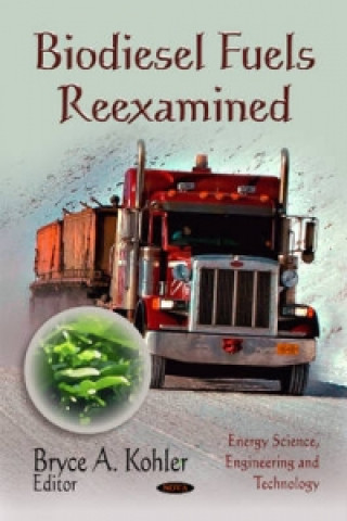 Libro Biodiesel Fuels Reexamined 