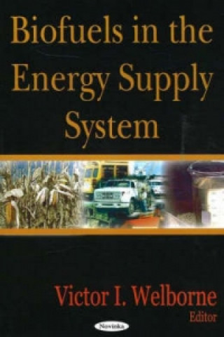 Carte Biofuels in the Energy Supply System 