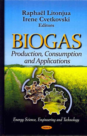 Kniha Biogas 