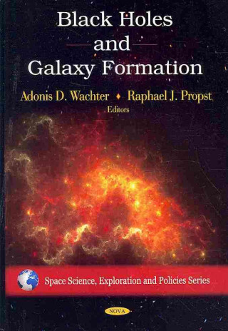 Книга Black Holes & Galaxy Formation 