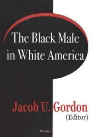 Książka Black Male in White America 