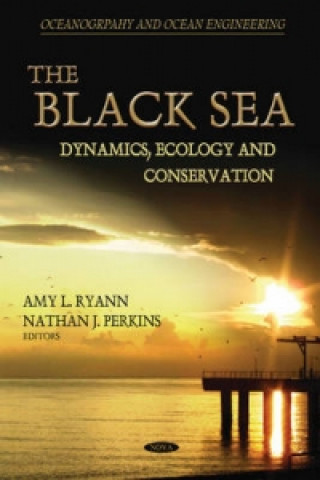 Buch Black Sea Amy L Ryann