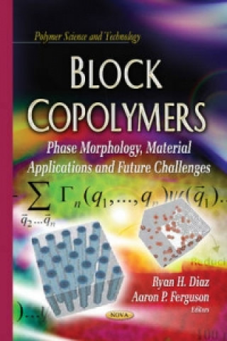 Kniha Block Copolymers 