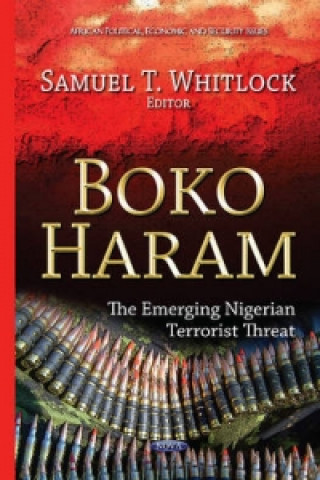 Carte Boko Haram 