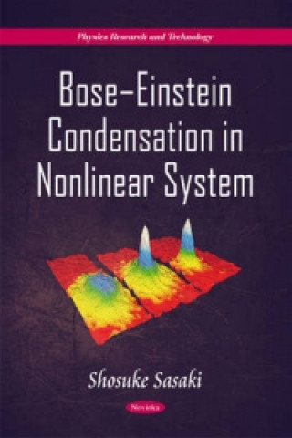 Könyv BoseaEinstein Condensation in Nonlinear System Shosuke Sasaki
