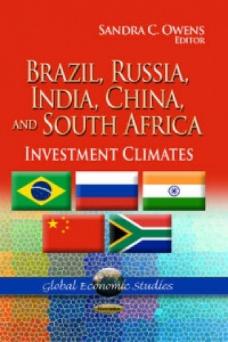 Carte Brazil, Russia, India, China & South Africa 