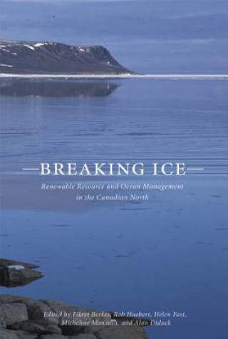 Könyv Breaking Ice 