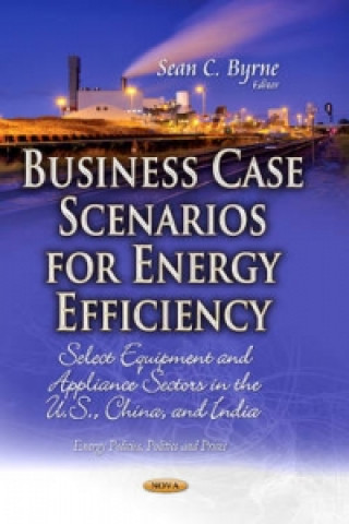 Carte Business Case Scenarios for Energy Efficiency 