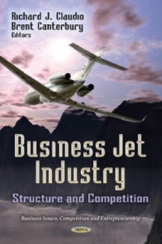 Kniha Business Jet Industry 