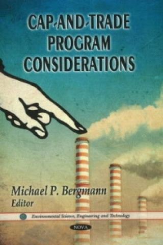 Book Cap-&-Trade Program Considerations Michael P. Bergmann