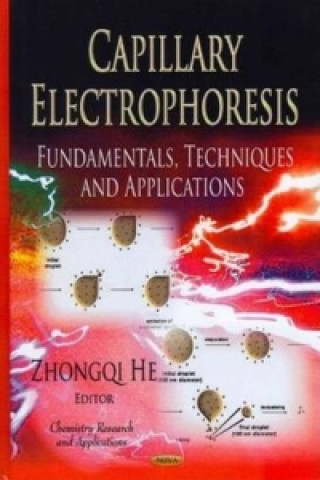 Buch Capillary Electrophoresis 