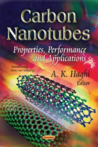 Livre Carbon Nanotubes 