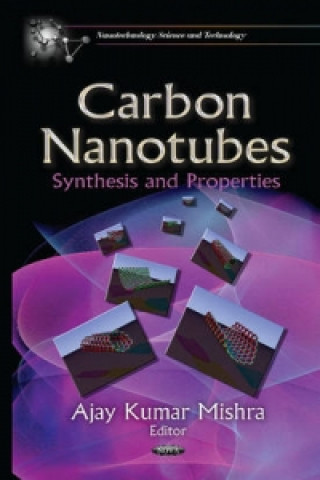 Könyv Carbon Nanotubes 