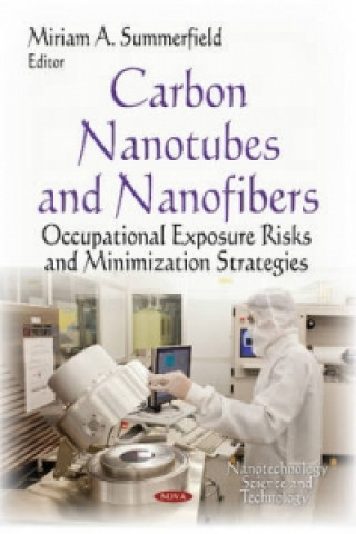 Kniha Carbon Nanotubes & Nanofibers 