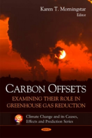 Knjiga Carbon Offsets 