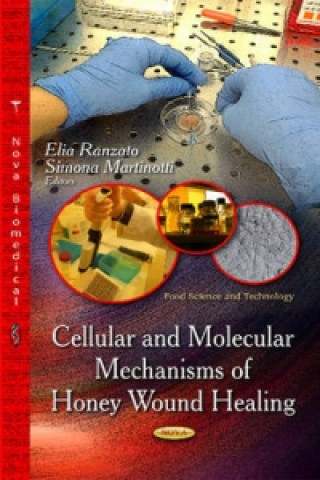 Könyv Cellular & Molecular Mechanisms of Honey Wound Healing 