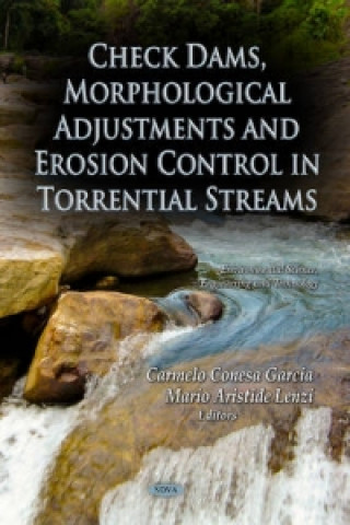 Könyv Check Dams, Morphological Adjustments & Erosion Control in Torrential Streams 