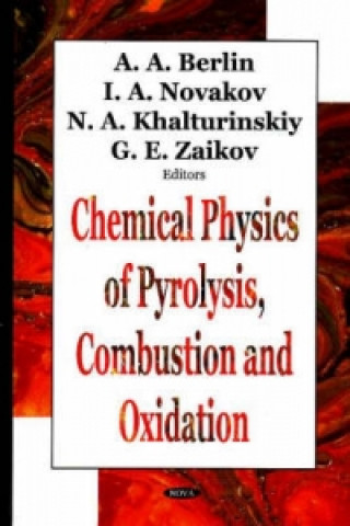 Kniha Chemical Physics of Pyrolysis, Combustion & Oxidation 