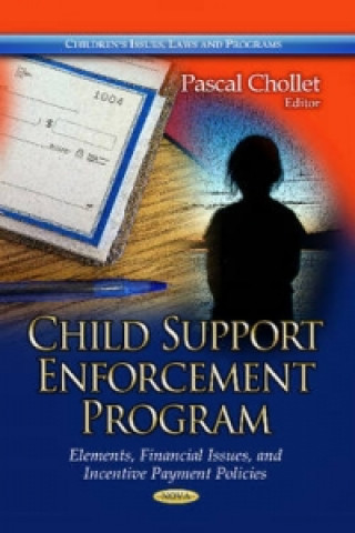 Könyv Child Support Enforcement Program 