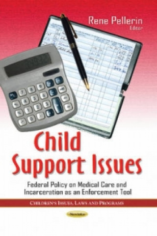 Livre Child Support Issues 