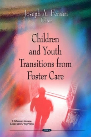 Kniha Children & Youth Transitions from Foster Care 