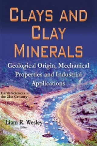 Książka Clays & Clay Minerals 