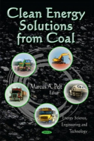 Libro Clean Energy Solutions from Coal 