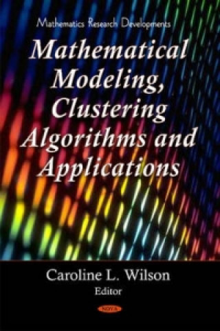 Kniha Clustering Algorithms & Mathematical Modeling 