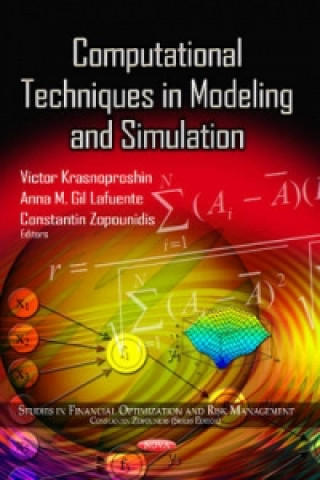 Książka Computational Techniques in Modeling & Simulation 