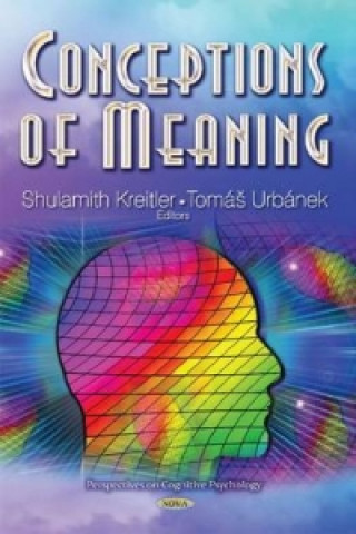 Könyv Conceptions of Meaning 