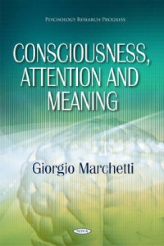 Kniha Consciousness, Attention & Meaning Giorgio Marchetti