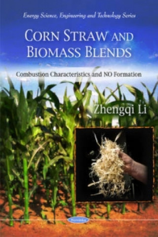 Könyv Corn Straw & Biomass Blends Zhengqi Li
