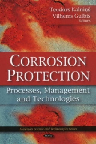 Kniha Corrosion Protection 