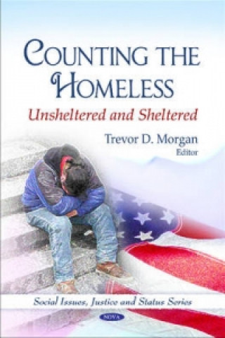 Könyv Counting the Homeless 