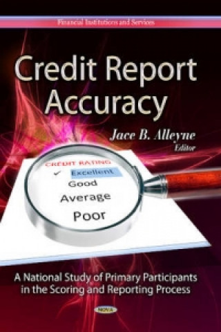 Kniha Credit Report Accuracy 