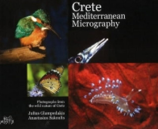 Książka Crete Mediterranean Micrography 