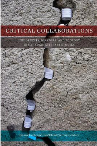 Livre Critical Collaborations Smaro Kamboureli