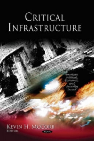 Könyv Critical Infrastructure 