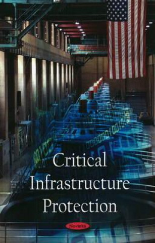 Kniha Critical Infrastructure Protection Government Accountability Office