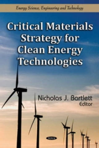 Kniha Critical Materials Strategy for Clean Energy Technologies 