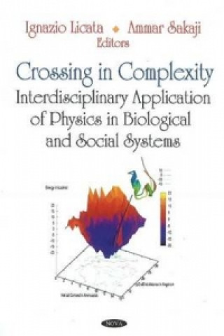 Könyv Crossing in Complexity 
