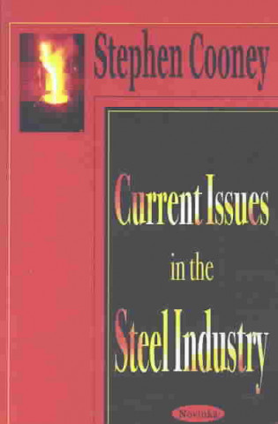 Kniha Current Issues in the Steel Industry Stephen Cooney