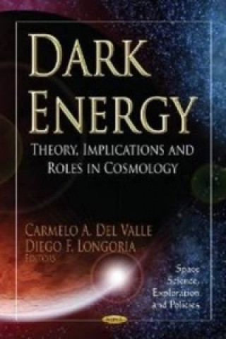 Könyv Dark Energy 