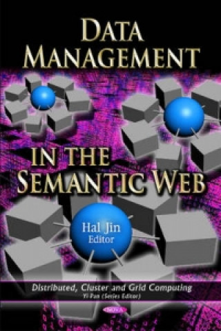Könyv Data Management in the Semantic Web 