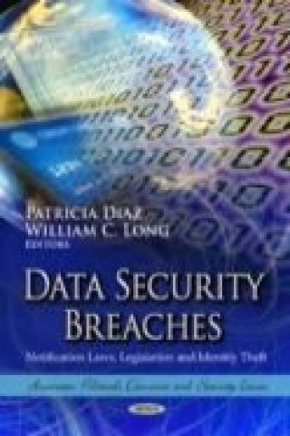 Carte Data Security Breaches 