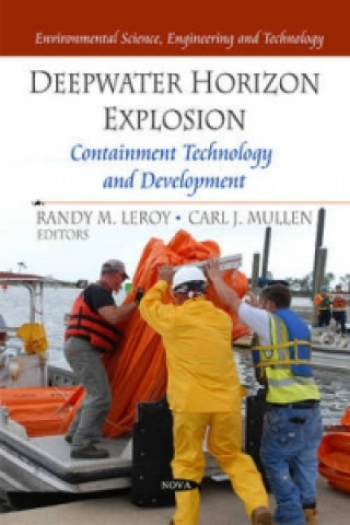 Kniha Deepwater Horizon Explosion 