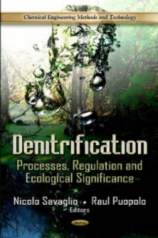 Carte Denitrification 