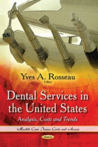 Książka Dental Services in the United States 