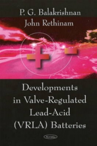 Könyv Developments in Valve-Regulated Lead-Acid (VRLA) Batteries John Rethinam