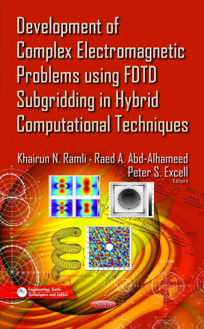 Kniha Development of Complex Electromagnetic Problems Using FDTD Subgridding in Hybrid Computational Techniques 